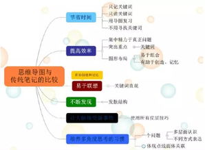 古都西安 思維之網(wǎng)，網(wǎng)絡(luò)技術(shù)服務(wù)的璀璨融合